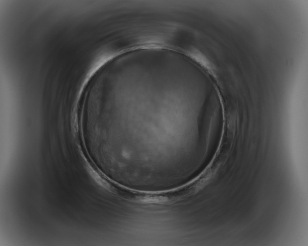 X0000087681466200705041019