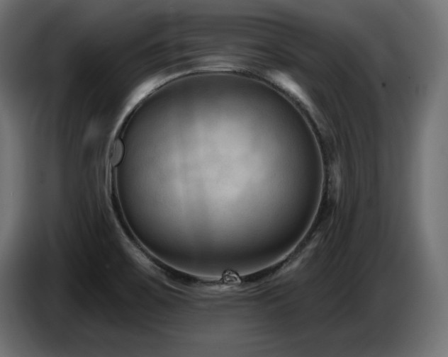 X0000087681467200705041019