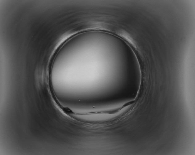 X0000087681468200705041019