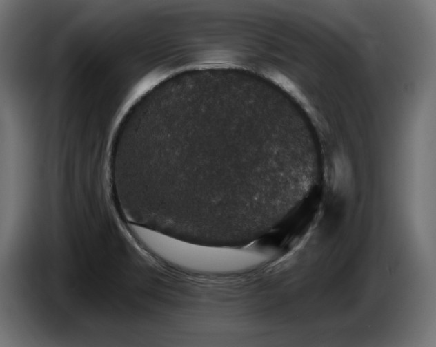 X0000087681469200705041019