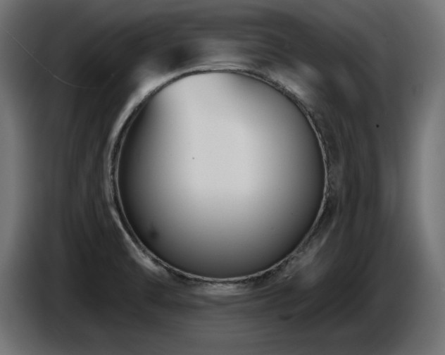 X0000087681470200705041019