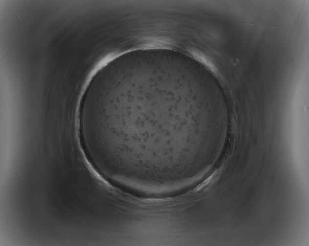 X0000087681471200705041019