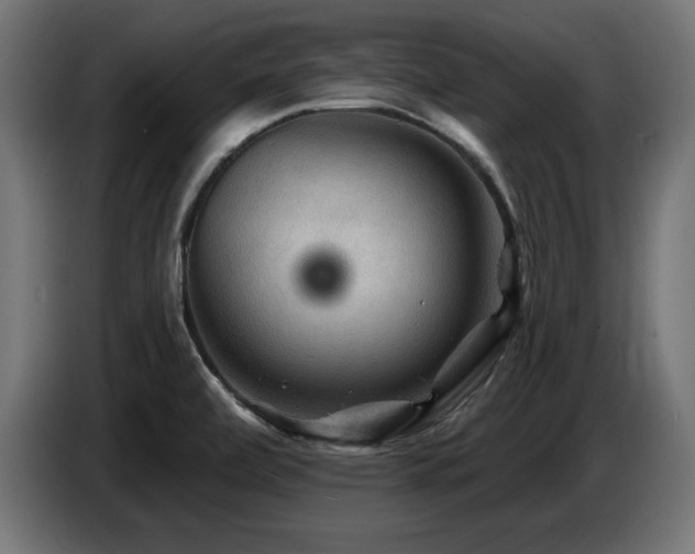 X0000087681472200705041019
