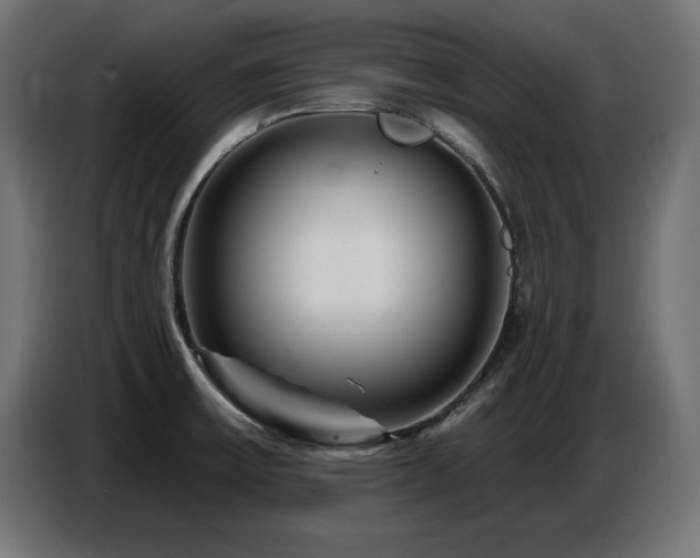 X0000087681475200705041019