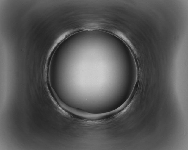 X0000087681477200705041019