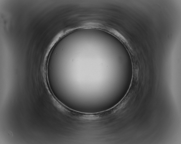 X0000087681478200705041019