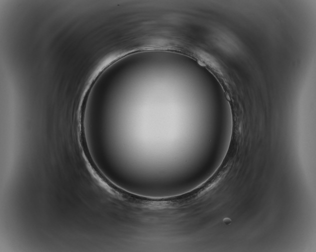 X0000087681479200705041019