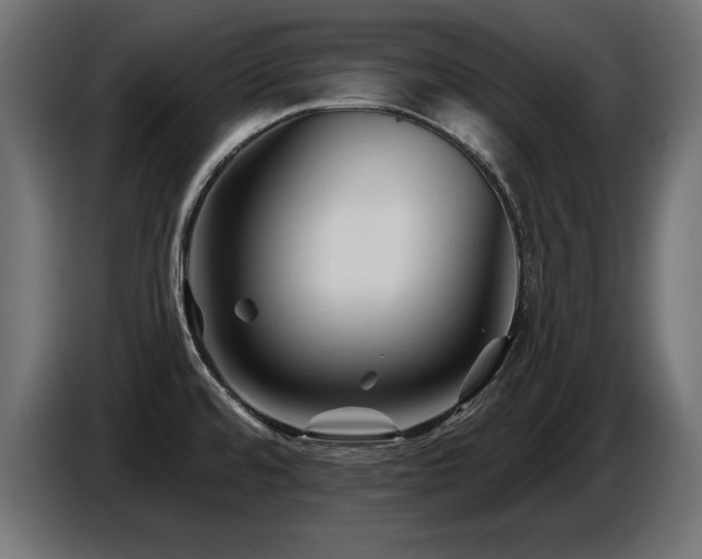 X0000087681480200705041019