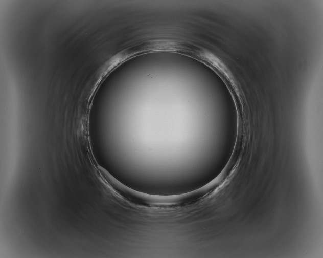 X0000087681481200705041019