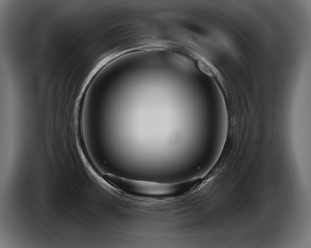 X0000087681483200705041019