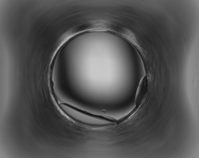 X0000087681484200705041019