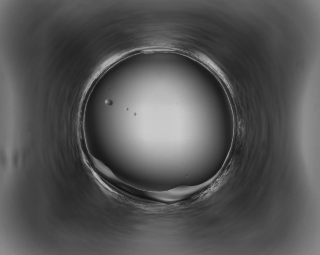 X0000087681485200705041019