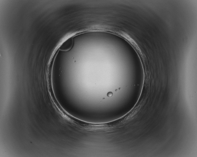 X0000087681486200705041019