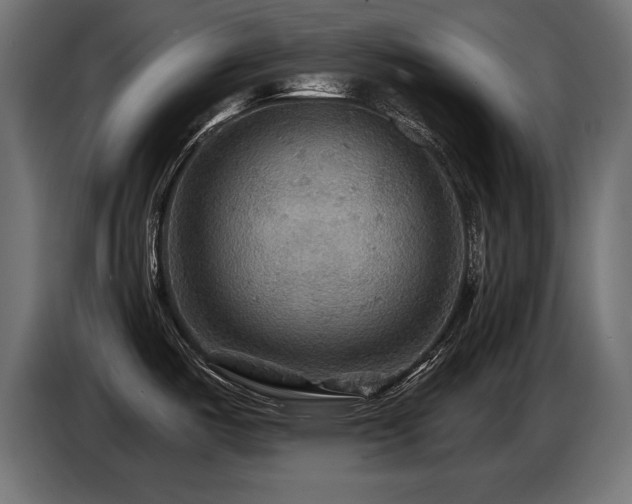 X0000087681487200705041019
