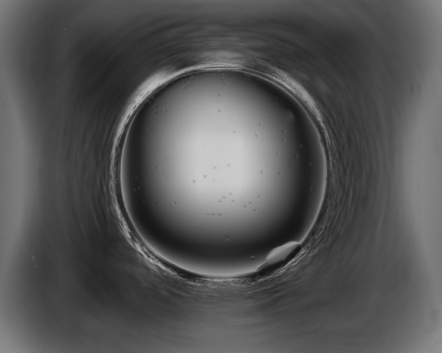 X0000087681488200705041019