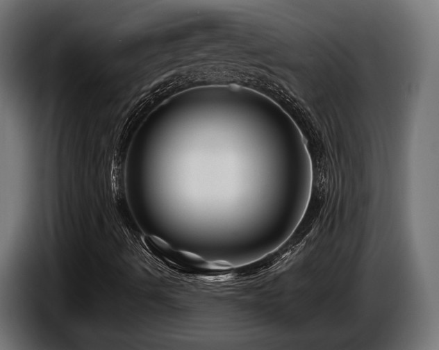 X0000087681490200705041019