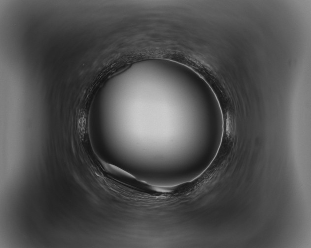 X0000087681492200705041019