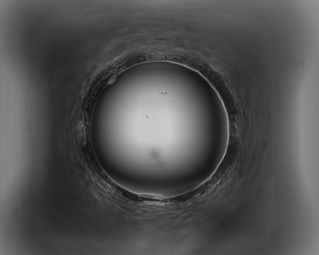 X0000087681493200705041019