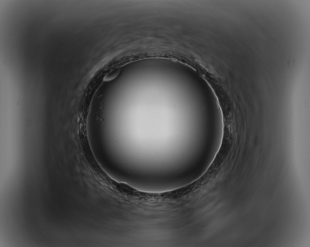 X0000087681495200705041019