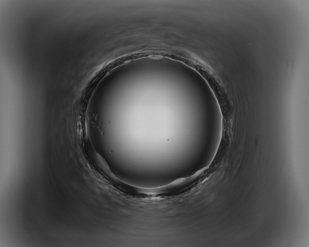 X0000087681496200705041019