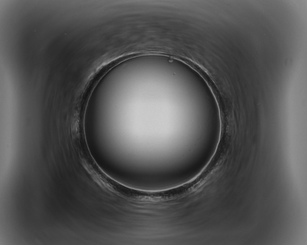 X0000087681499200705041019