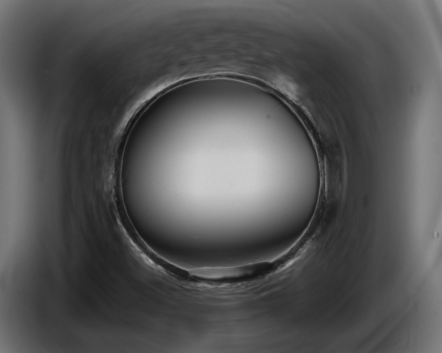 X0000087681500200705041019