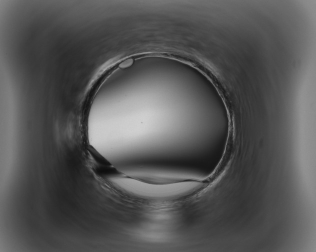 X0000087681501200705041019