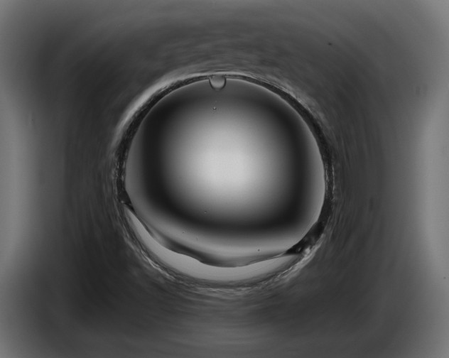 X0000087681502200705041019