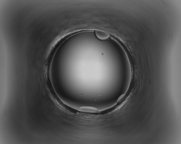 X0000087681503200705041019