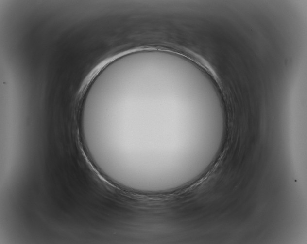 X0000087681504200705041019