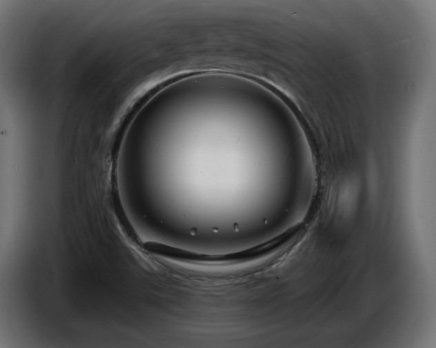 X0000087681507200705041019