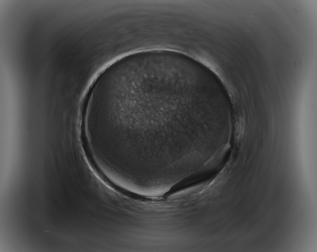X0000087681508200705041019