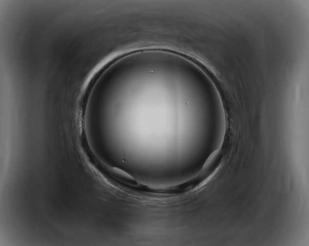 X0000087681510200705041019