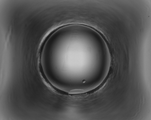 X0000087681511200705041019