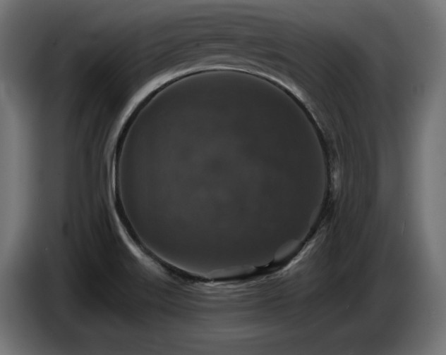 X0000087681515200705041019