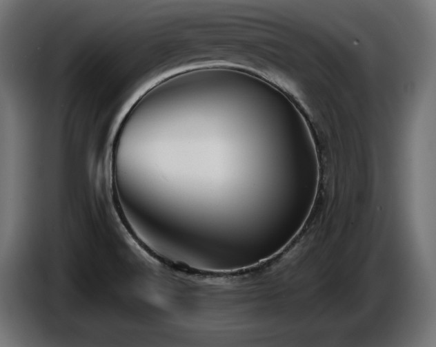 X0000087681516200705041019