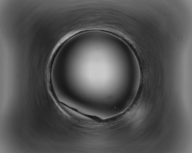 X0000087681517200705041019