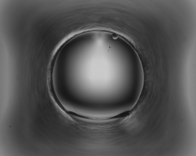 X0000087681518200705041019