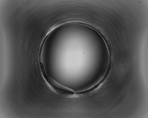 X0000087681521200705041019