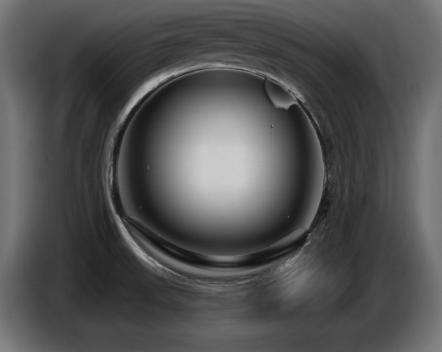 X0000087681523200705041019