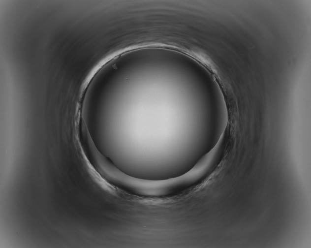 X0000087681524200705041019