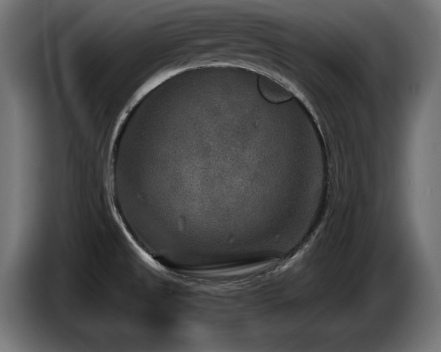 X0000087681525200705041019