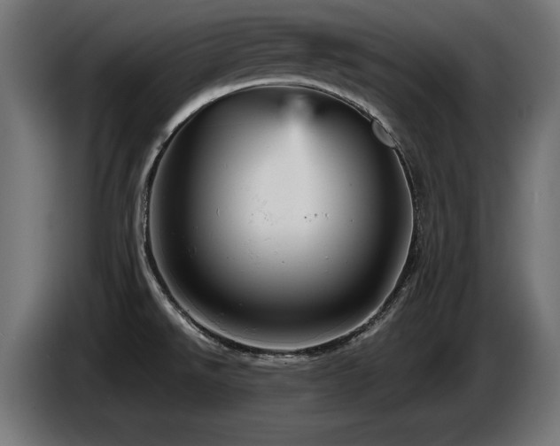 X0000087681526200705041019
