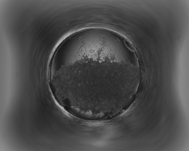 X0000087681527200705041019
