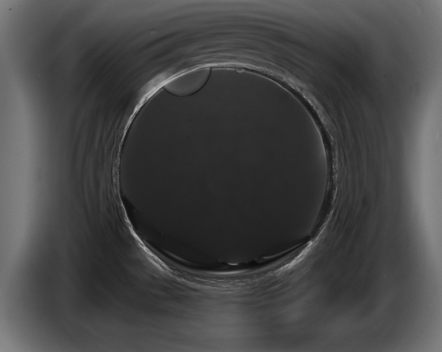 X0000087681529200705041019