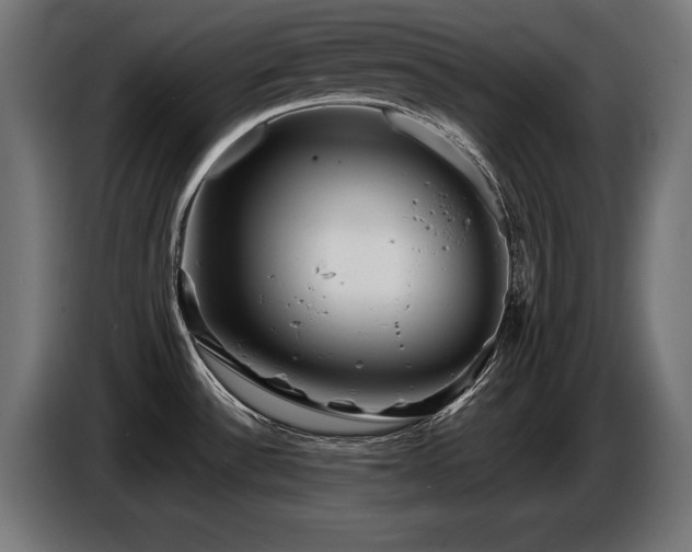 X0000087681532200705041019