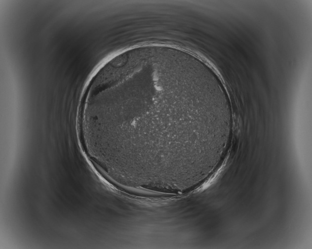 X0000087681533200705041019
