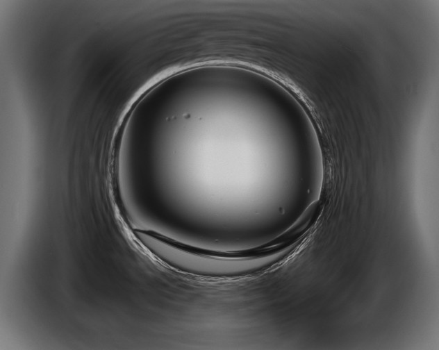 X0000087681534200705041019