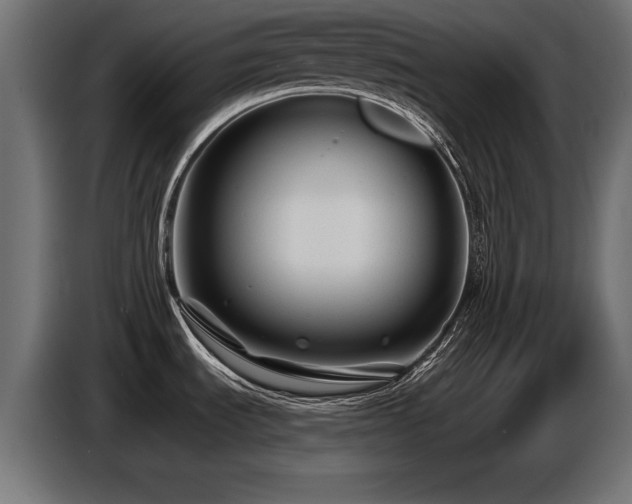 X0000087681535200705041019