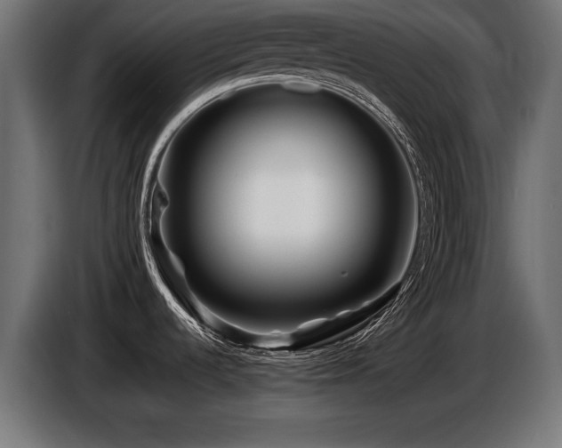 X0000087681536200705041019